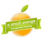 A Small Orange